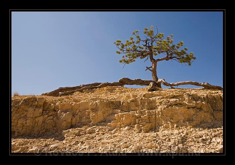 Bryce Canyon 06.jpg